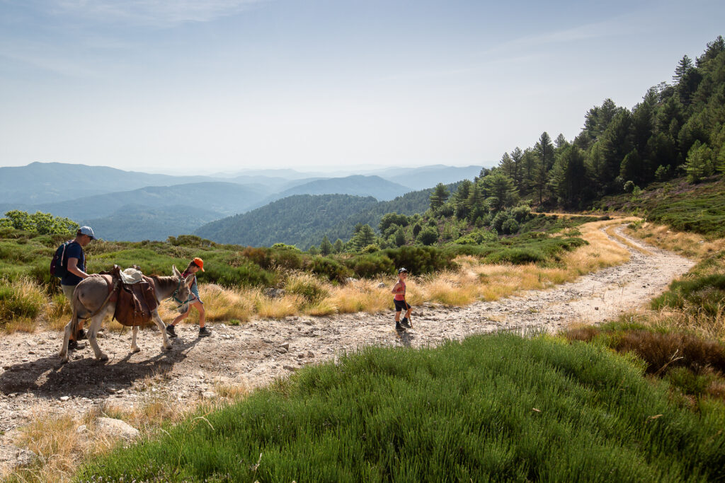 Chemin de Stevenson dans les Cévennes