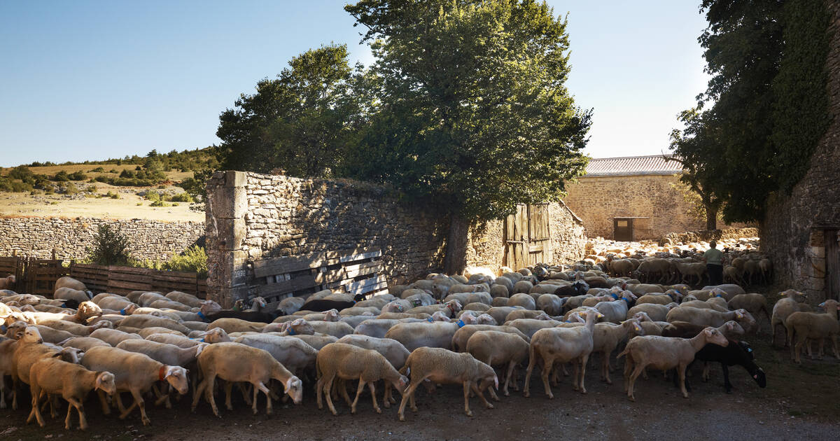 Causses & Cévennes – Patrimoine UNESCO